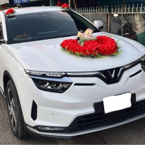 xe-hoa-xe-cuoi-dong-nai-khoi-dau-hanh-phuc-tron-ven-cung-quyet-tien-tour